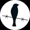 U.S.T.A. Logo