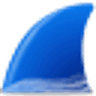 wireshark Logo