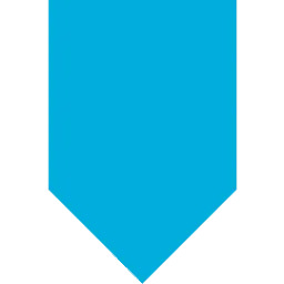 Arcserve Logo
