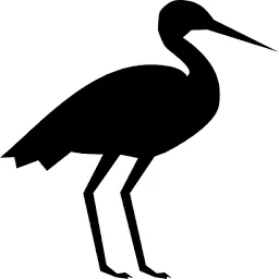 Blackstork Logo