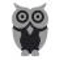 CyberOwl Logo