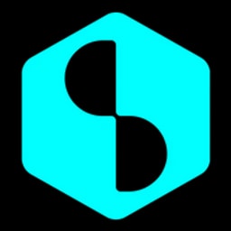 Datavillage Risk Detection Logo