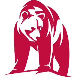 EBRAND X-RAY Logo