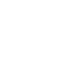 Exosys Logo