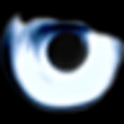 IonX Verisys FIM Logo