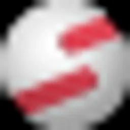 NetSfere Enterprise Logo