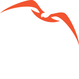 Nisos Human Risk Management Platform Logo