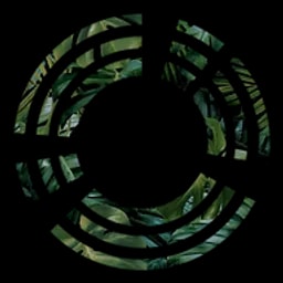 One Compliance Logo