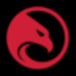 PrivacyHawk Logo