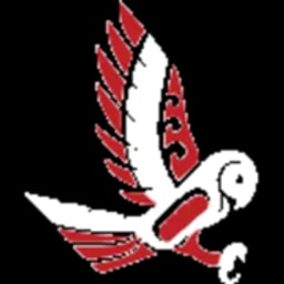 Pueo Business Solutions Logo