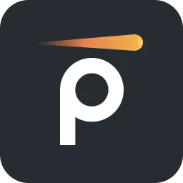 Pynt API Security Testing Logo