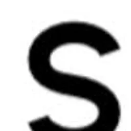 Savvy Security Logo
