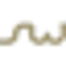 Security Weaver Logo