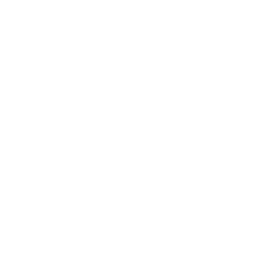 Spacewalk AI Logo