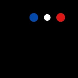 Vijil Trust Report Logo