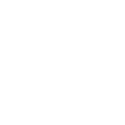 ZenGuard Logo