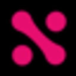 Netarx Identity Key (NIK) Logo