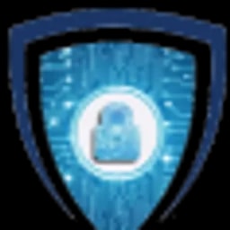 ANA Cyber Digital Forensic Investigation