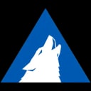 Arctic Wolf Managed Risk Logo