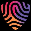 BigID Data Security Platform Logo