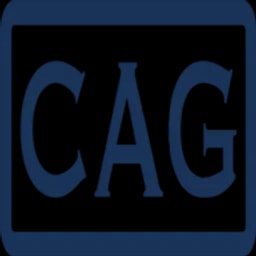 Columbia Advisory Group Logo