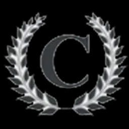 Cyber Cops Network Security