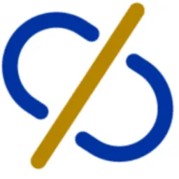 CyberData Pros Virtual Chief Information Security Officer (vCISO) Logo