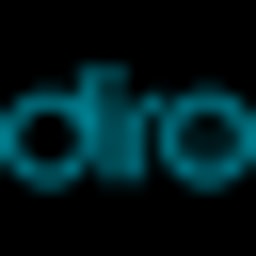 DIRO Identity Verification Logo