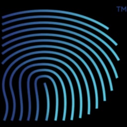 DSShield Application Security Audit Logo