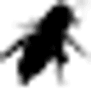 HIHAT - High Interaction Honeypot Analysis Toolkit Logo
