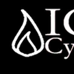 IGNITE Cyber Cloud Control (CASB) Logo