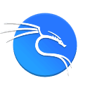 Kali Logo
