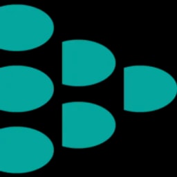 NDSE Risk Assessment Logo