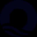 Oasis Security - NHI Security Cloud Logo