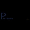 Pantherun Real-Time Encryption Logo