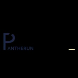 Pantherun Real-Time Encryption