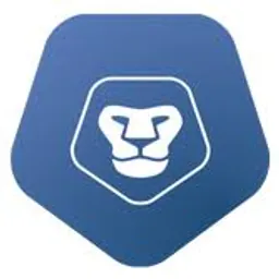 ProLion Storage Security