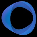 RoboShadow Vulnerability Scanner Logo