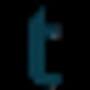 TraceSecurity Penetration Testing Services Logo