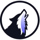 Vulnerability Discovery 1 Logo